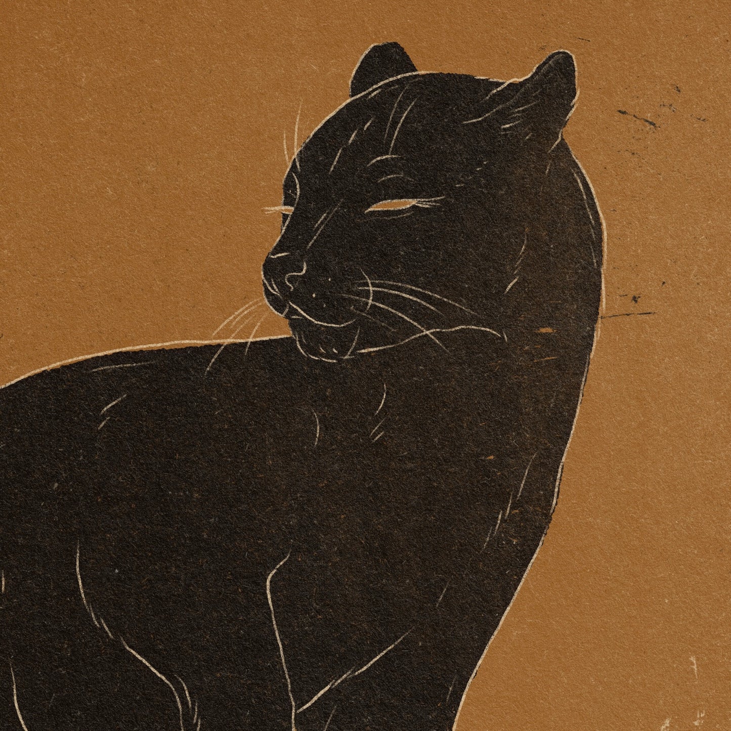'Wild cat' print