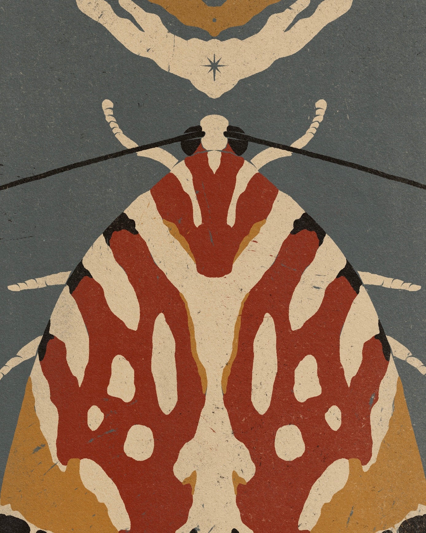 'Moth' print