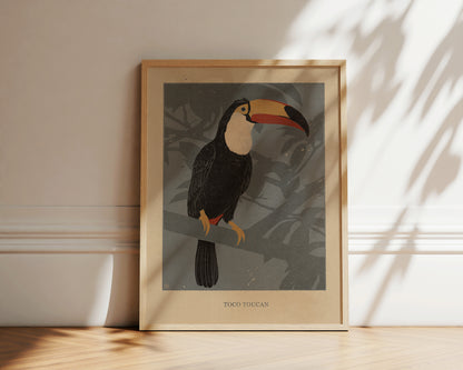 'Toco toucan' print